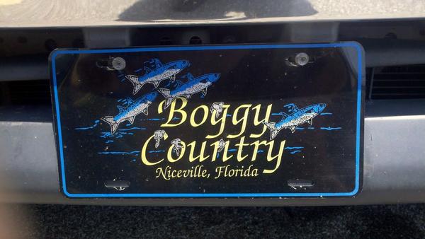 Boggy Country, Mullet bred and fed!