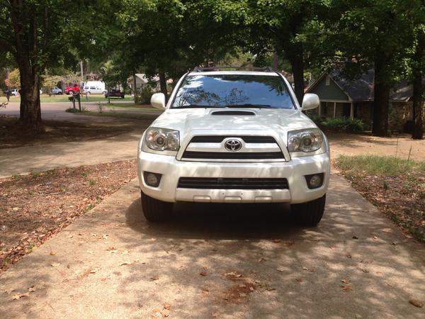 Bone stock