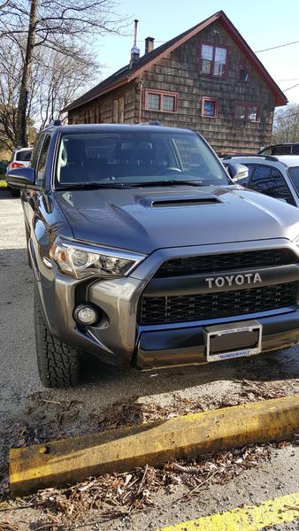 brand new from the lot