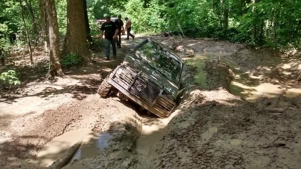 Buddy got a little stuck