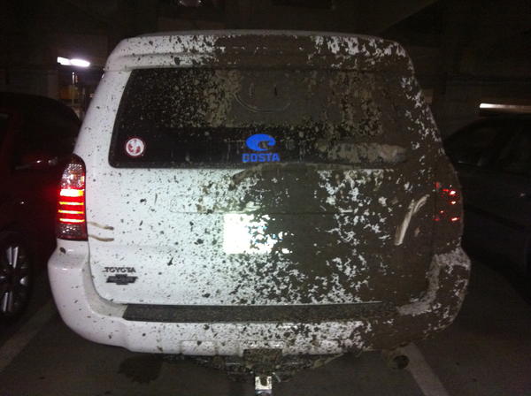 Buddy of mine in an old F150 pulled me out in reverse and shot mud all through my wind shield **Lesson learned** Nov. '12