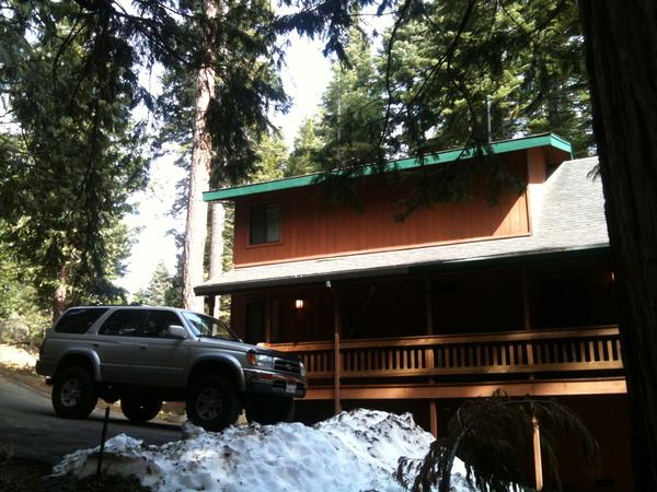 Cabin Bear 2