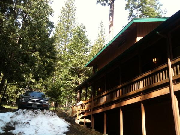 Cabin Bear