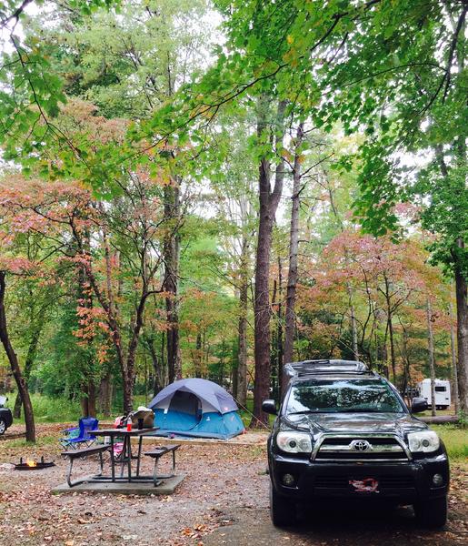 Cade's Cove Campground, GSMNP B-27 10-16-2016