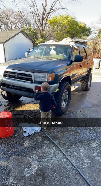 Car wash with a little friend.