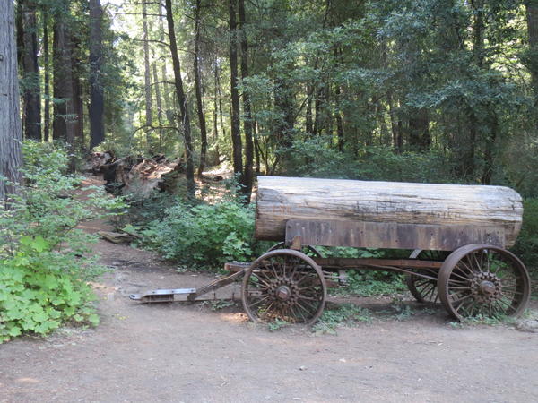 CHANDELIER TREE Park