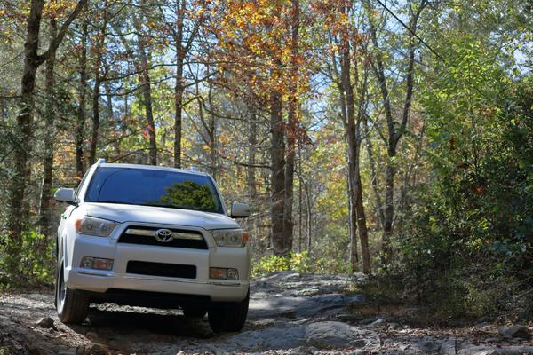 Charlie's creek rd. NE Georgia.