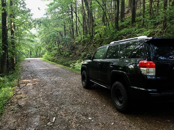 Cherokee National Forest