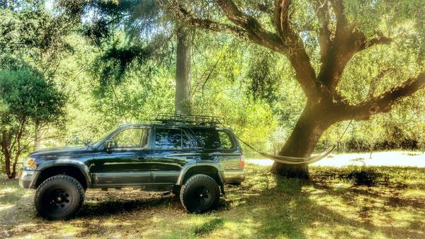 Chillin' in Sonoma.
