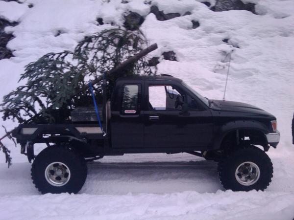Christmas Tree Run - 2009
