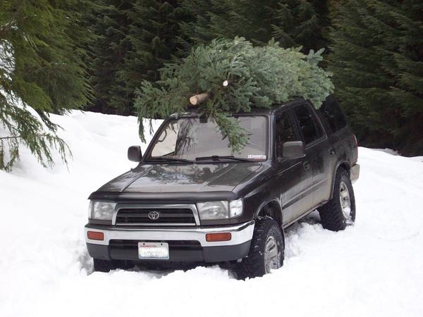 Christmas Tree Run 2011