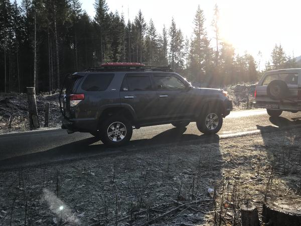 Christmas tree run outside of Mt Rainer