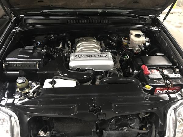 Cleaned engine bay.