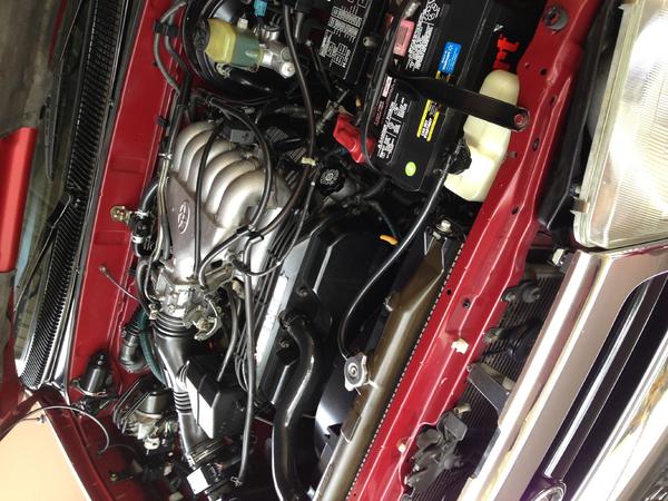Cleaned & shiny