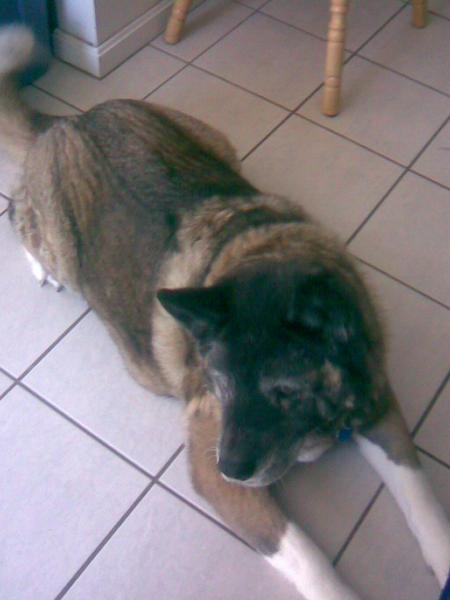 Cleo rest in peace