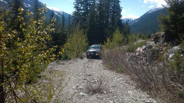 Climbing the mountain to try to visually see the 1400yr old Douglas Fir
