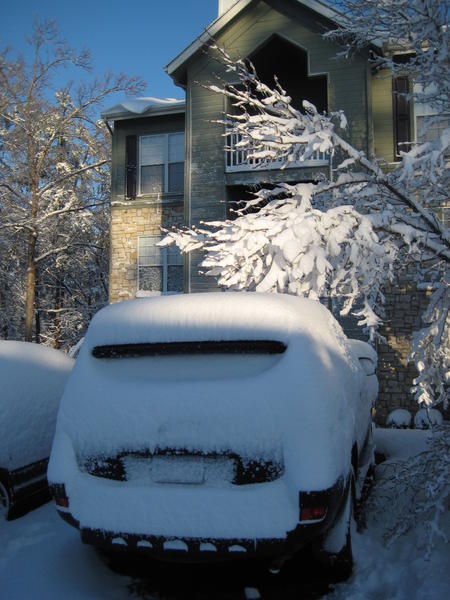 Close call, Winter Storm Euclid.  Tree fell on the Mustang in the parking space to the right of the 2WD 4Runner