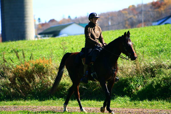 Coal Cracker, Grafton & Coby rides 064