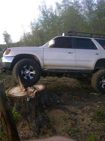 conquering the stump