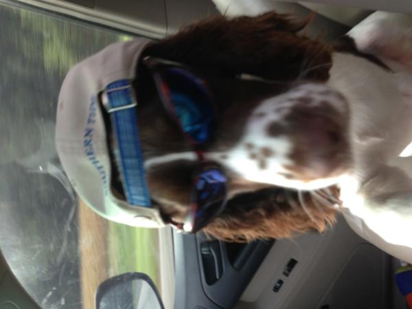 Copilot excited for a road trip
