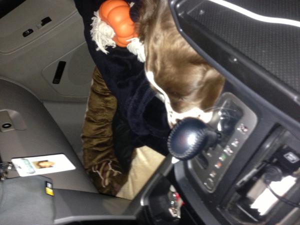Copilot got sleepy on me