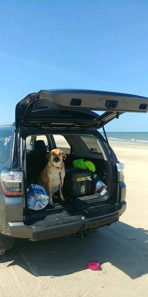 Corolla, NC
