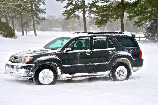 Couldn't resist playing in the fresh snow, Blizzard of 2014