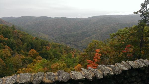Crab tree falls
