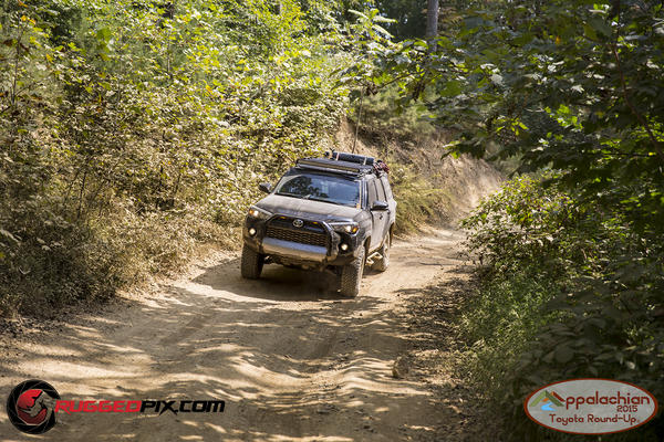 Cruising through the windrock trails