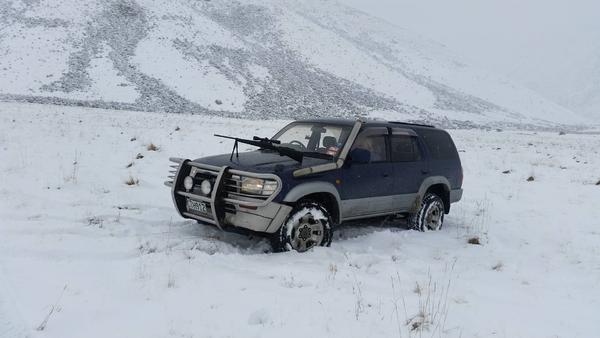 day in the snow