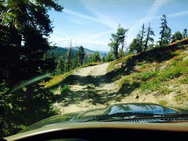 Deer lake trip