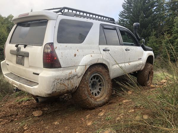 DF071261 5491 4525 8BBE E78D71117C6E