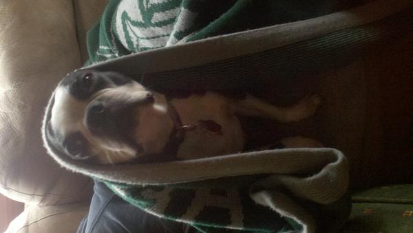 Diesel boy chillin
