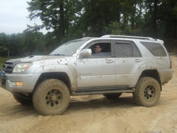 dirty bird