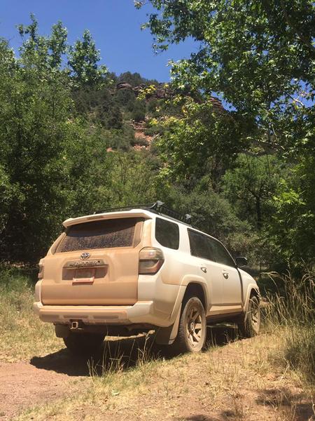 dirty t4r