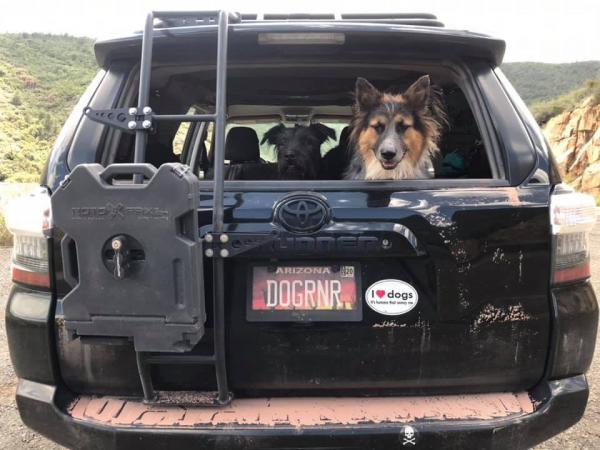 DOGRNR