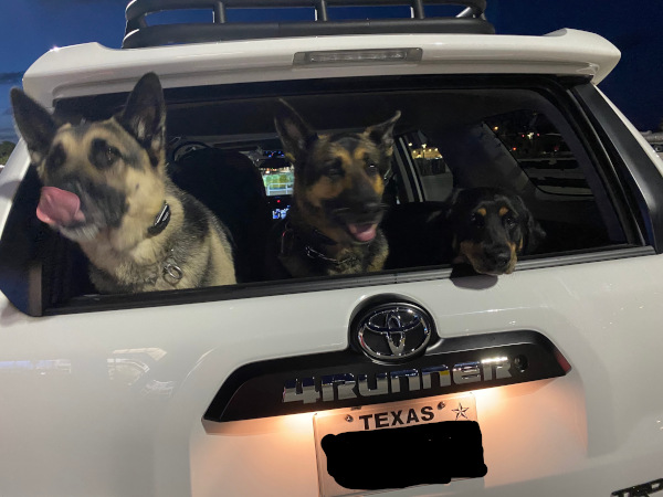Dogs loaded up and headed to Port O'Conner beach house.
