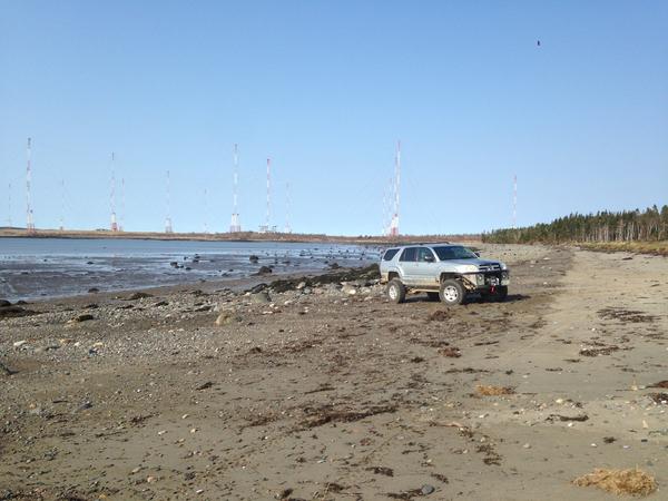 Down by the bay...