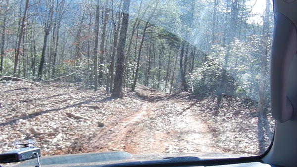 Down the trail we go