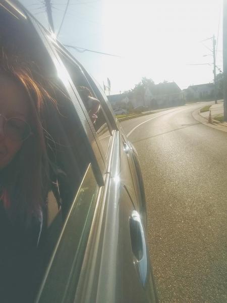 driving Plumbo pups home in Graebaebae
