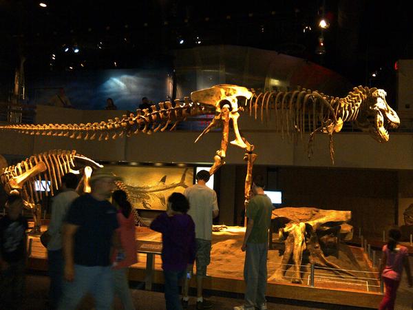Drumheller Royal Tyrol Museum