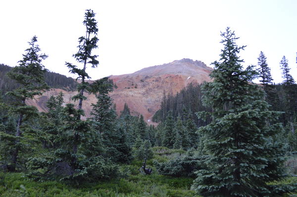 DSC 0089