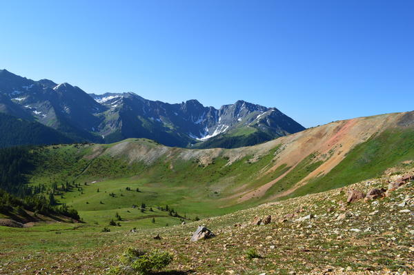 DSC 0141