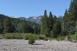 DSC 0170