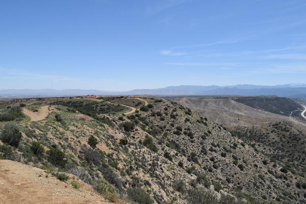 DSC 0963