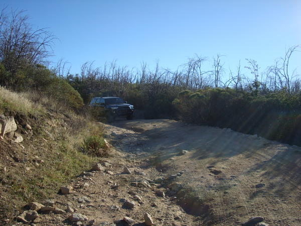 DSC01219