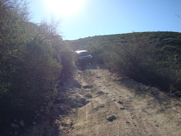 DSC01223