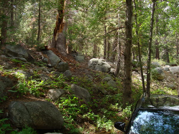DSC02027