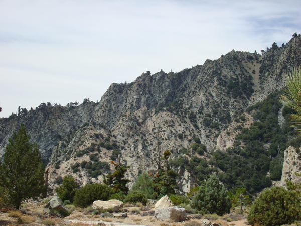 DSC02046