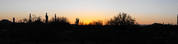 DSCF0040